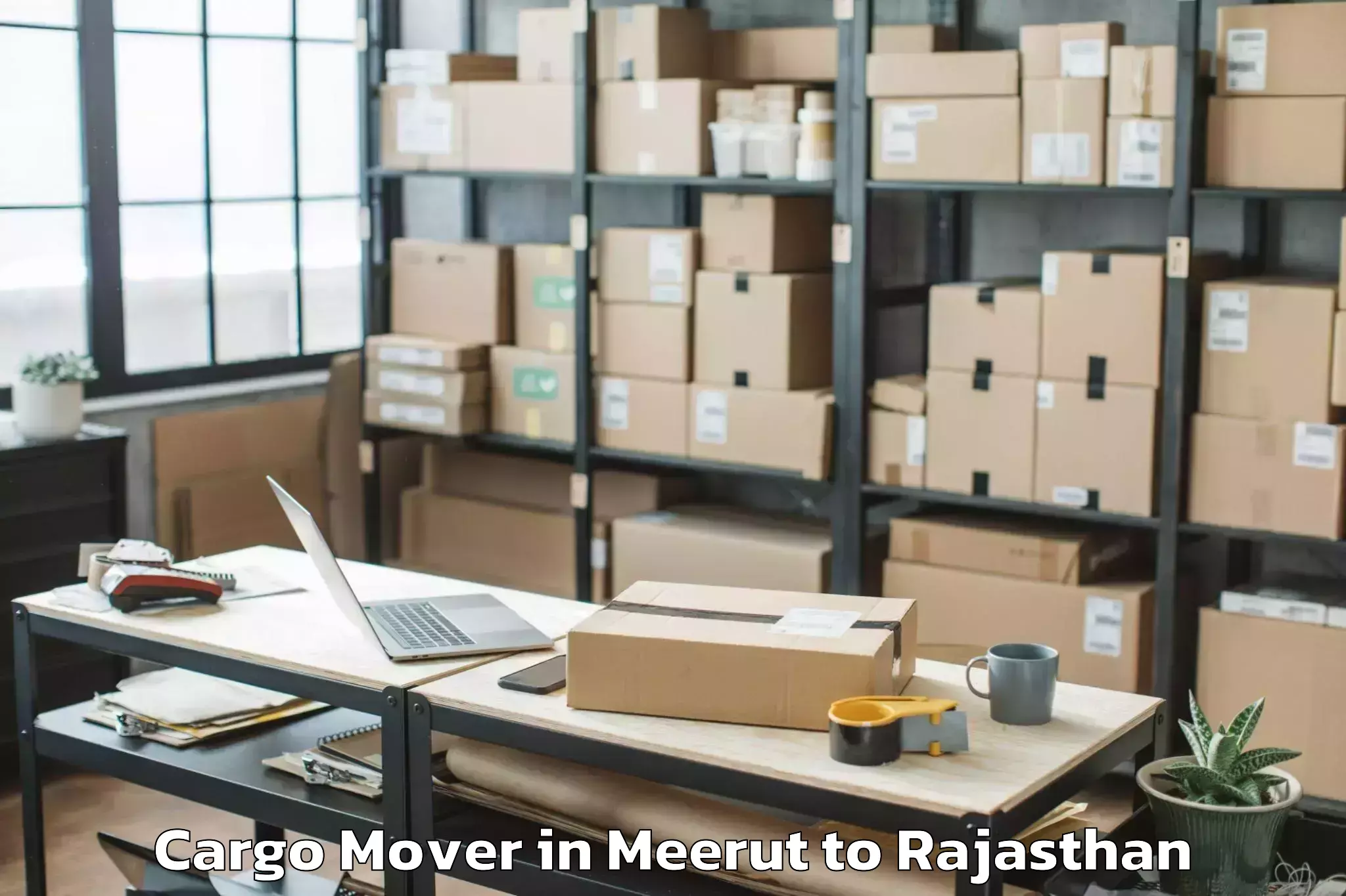 Professional Meerut to Opjs University Churu Cargo Mover